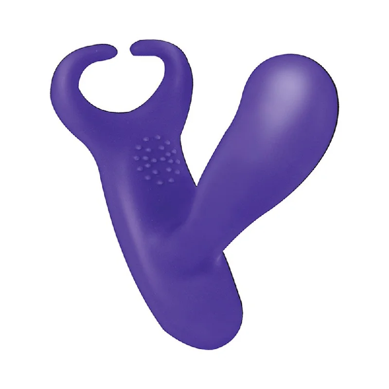 Anal-Ese Collection Remote Control Heat Up P-Spot & Testicle Stimulator - Purple