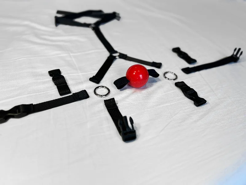 Modular Style Trainer Ball Gag